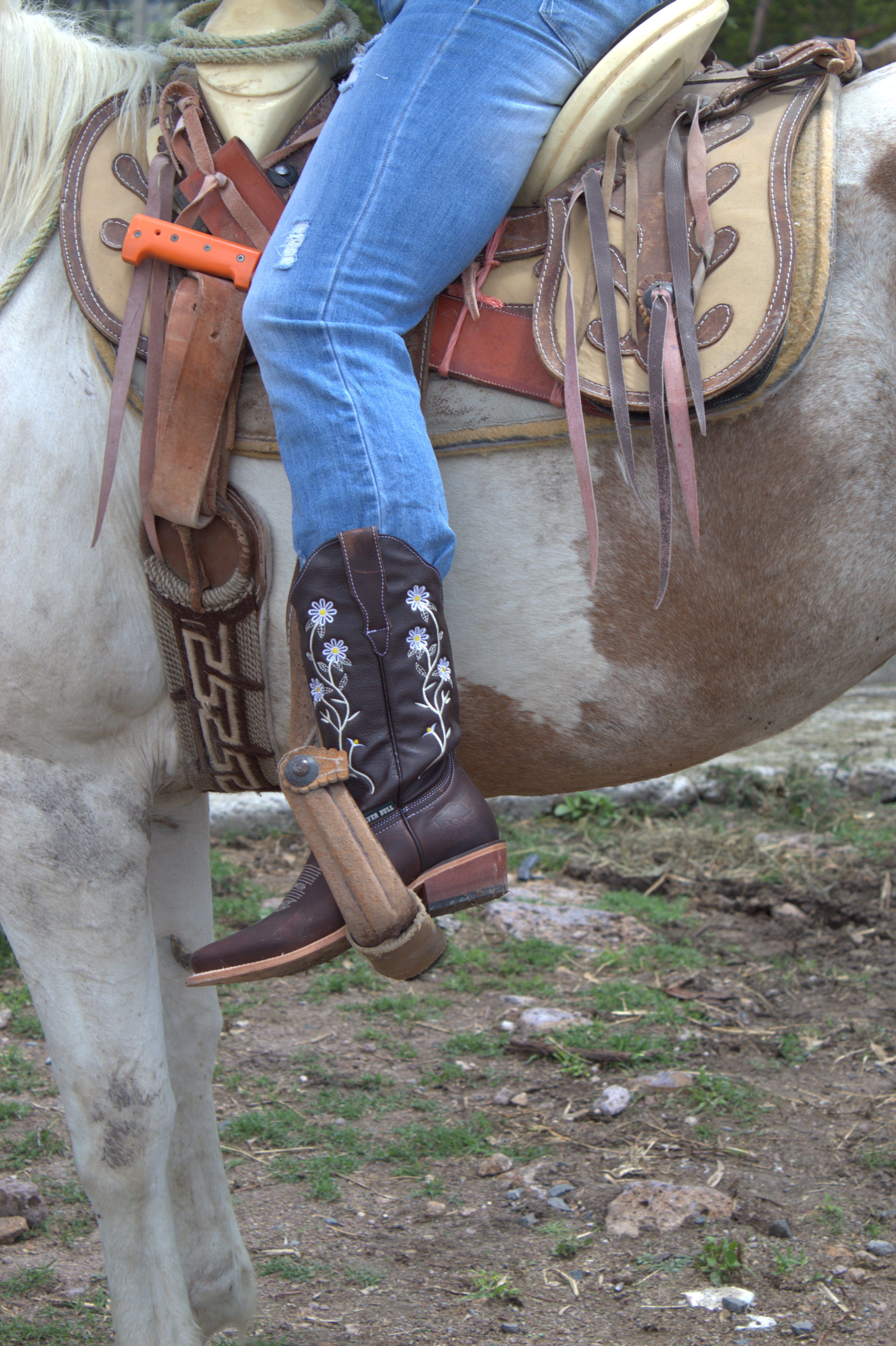 Diamond Bull Boots